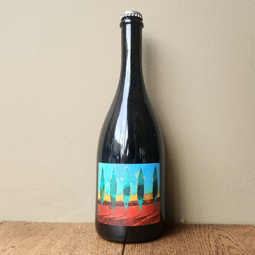 Terrevive, No Autoclave Lambrusco Rosso Frizzante 2022