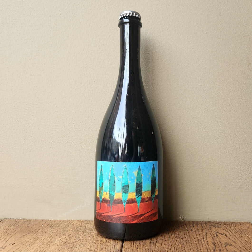 Terrevive, No Autoclave Lambrusco Rosso Frizzante 2022
