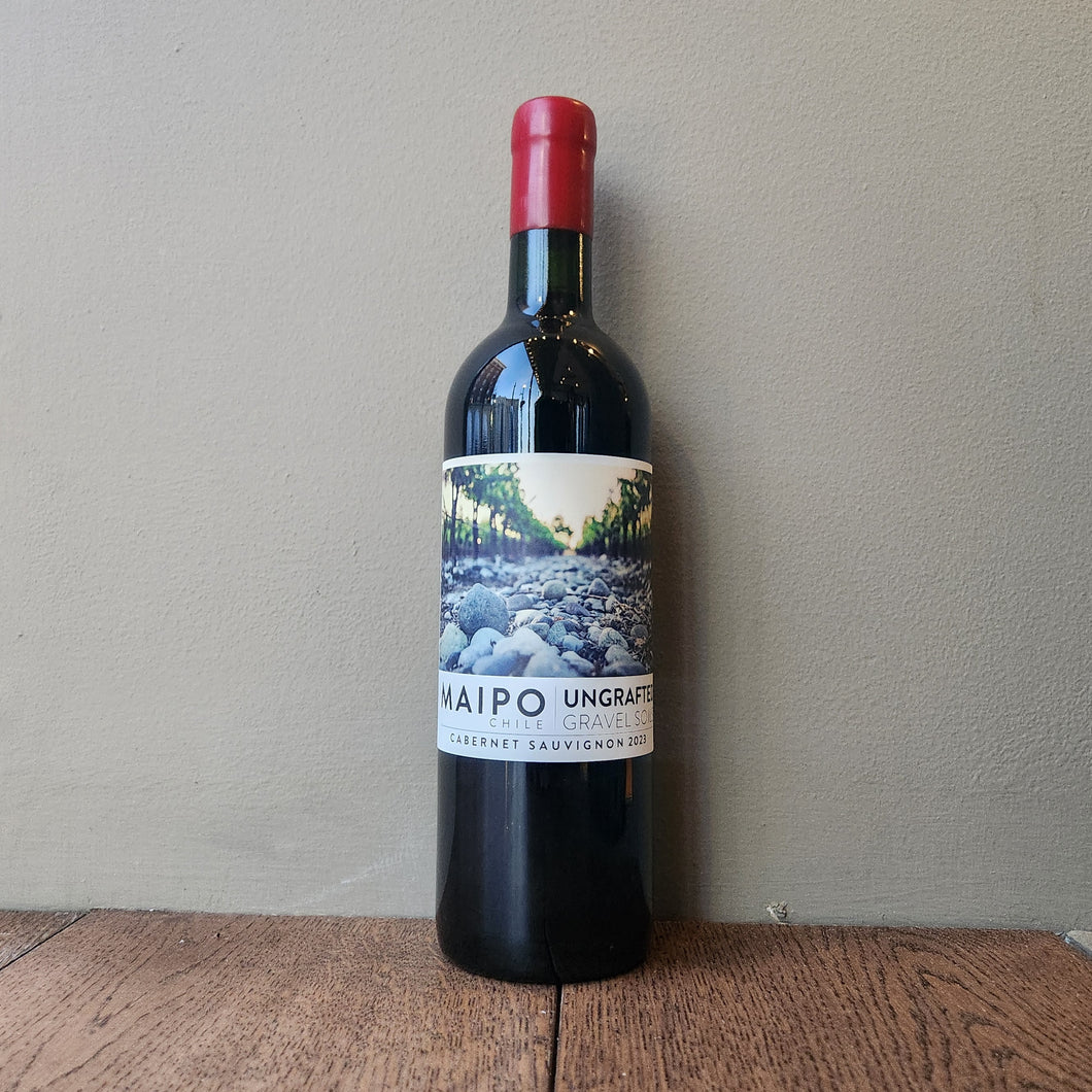 Ungrafted, Cabernet Sauvignon Maipo Valley 2023